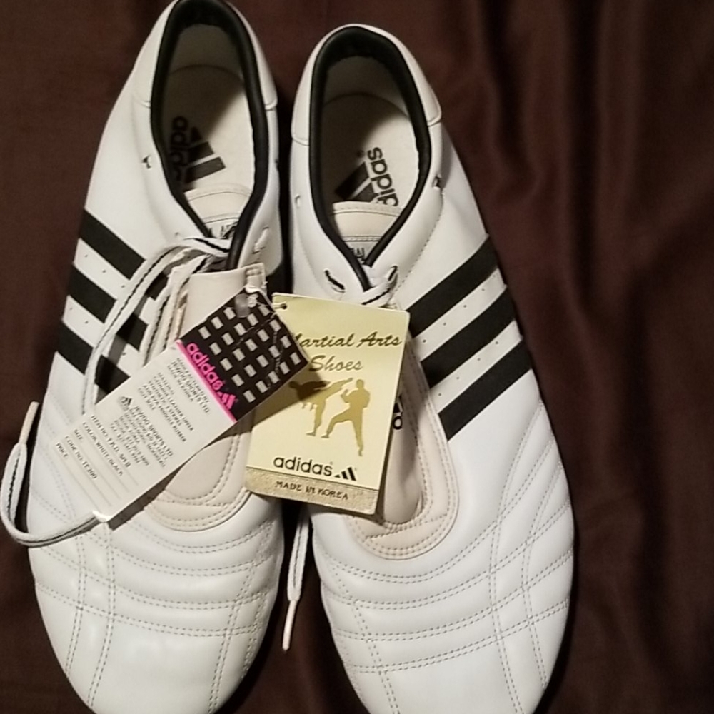 Adidas Martial Arts Shoes